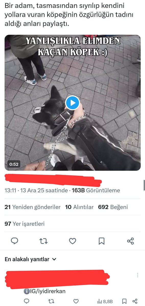 Kopek_Haberleri's tweet photo. Köpeğinin Bağını Gevşetip İnsanları Rahatsız ve Taciz Etti!

Birtakım Tetikçi Medya Unsurları da Bunu Çok Matah Bir Haber Gibi Paylaştı!

Yetkililer şahsı tespit edip cezai işlem uygulamalıdır! https://t.co/VjT5KvzSbQ