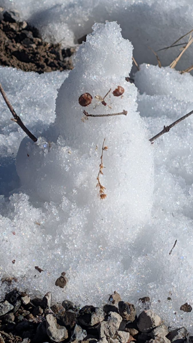 La Bruja de Blancanieves (@erikaerish) on Twitter photo 