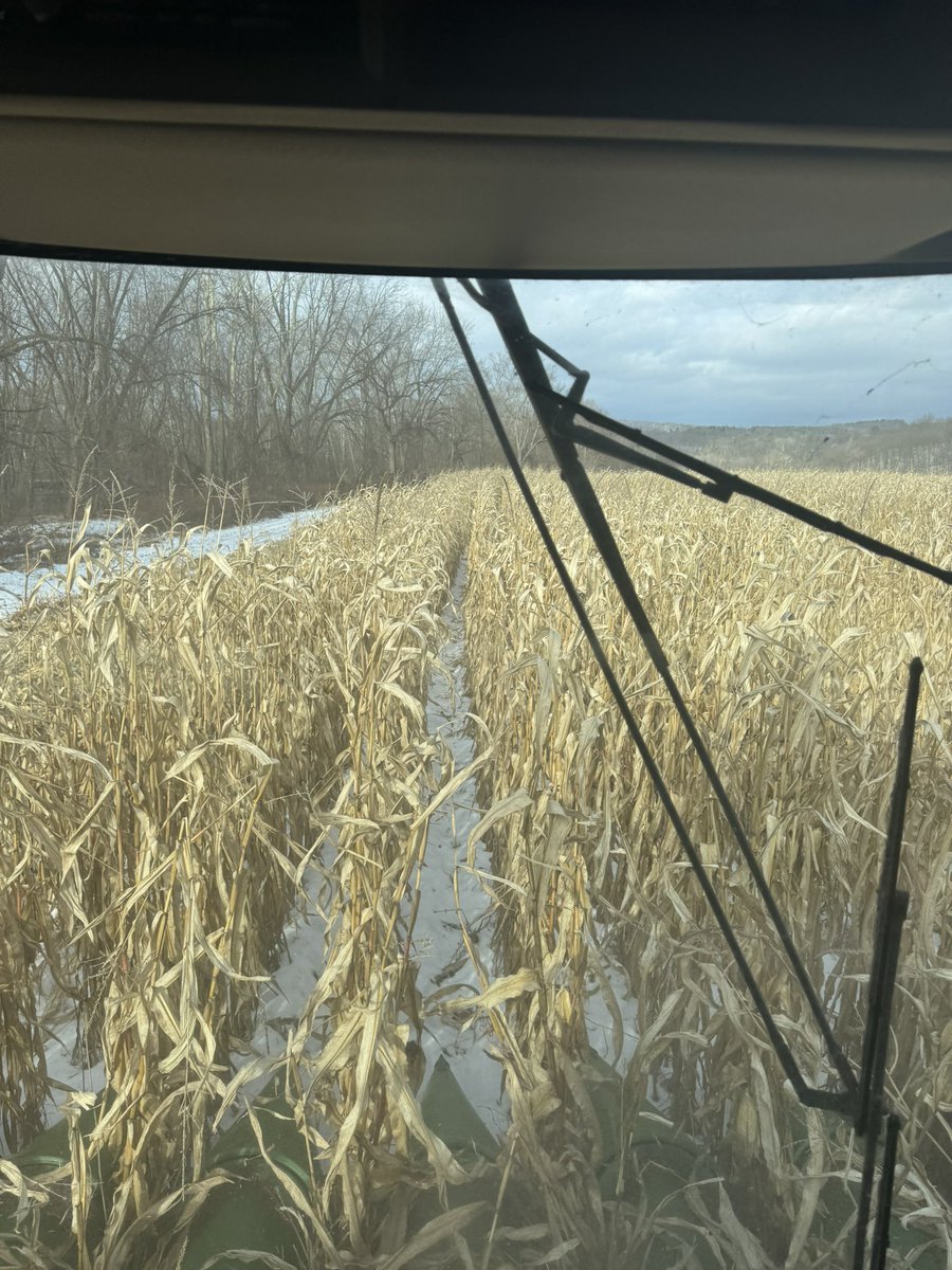 FuturesFarming🚜🌾👨‍🌾 tweet media