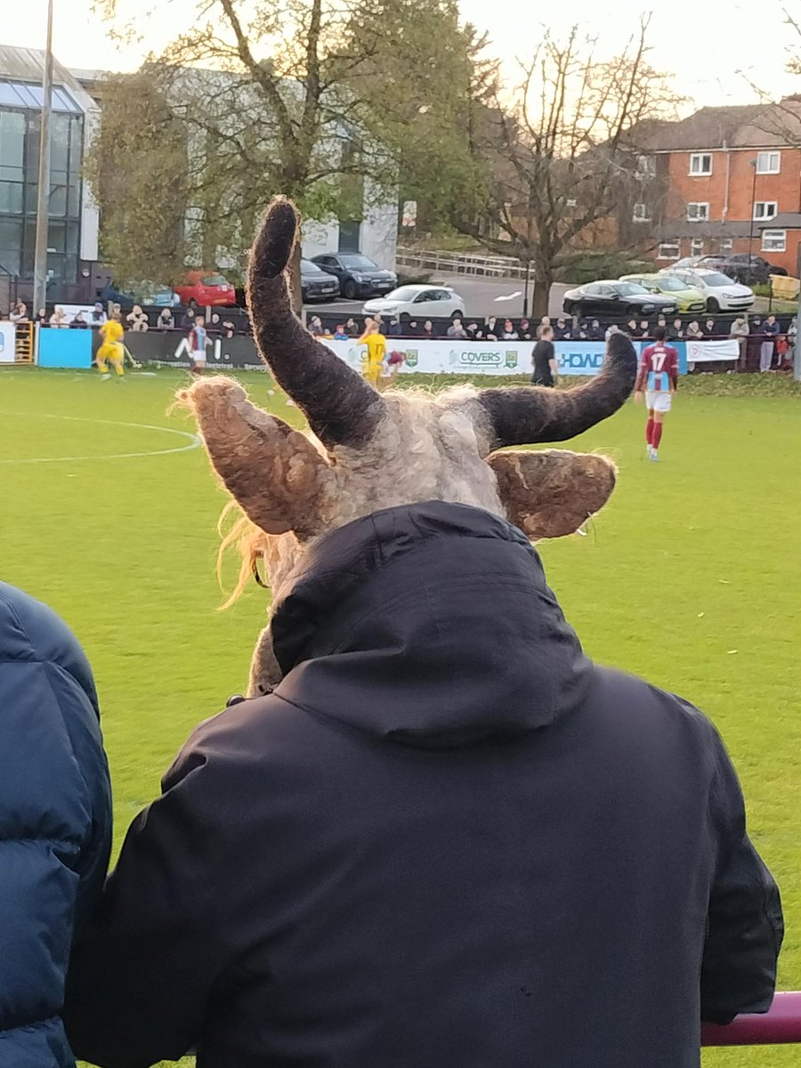 Alasdair Ross tweet media