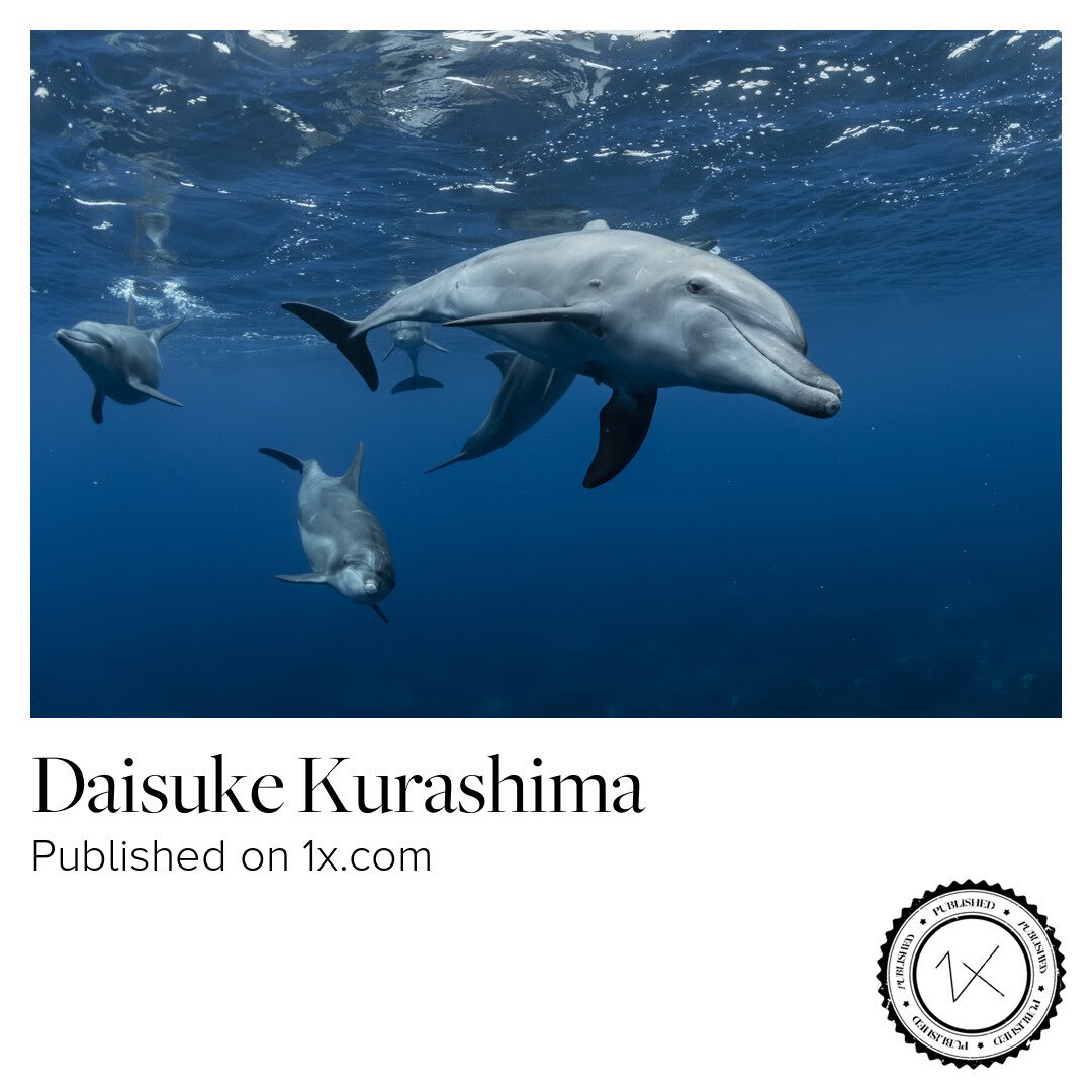 117th Awarded on 1X 連続で来ました。感謝。