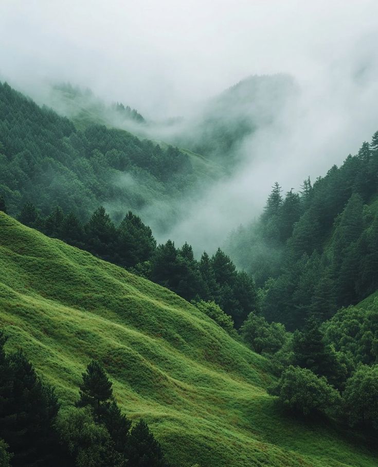 elemmiressoul's tweet photo. green-lover. https://t.co/xcyheWQbD4