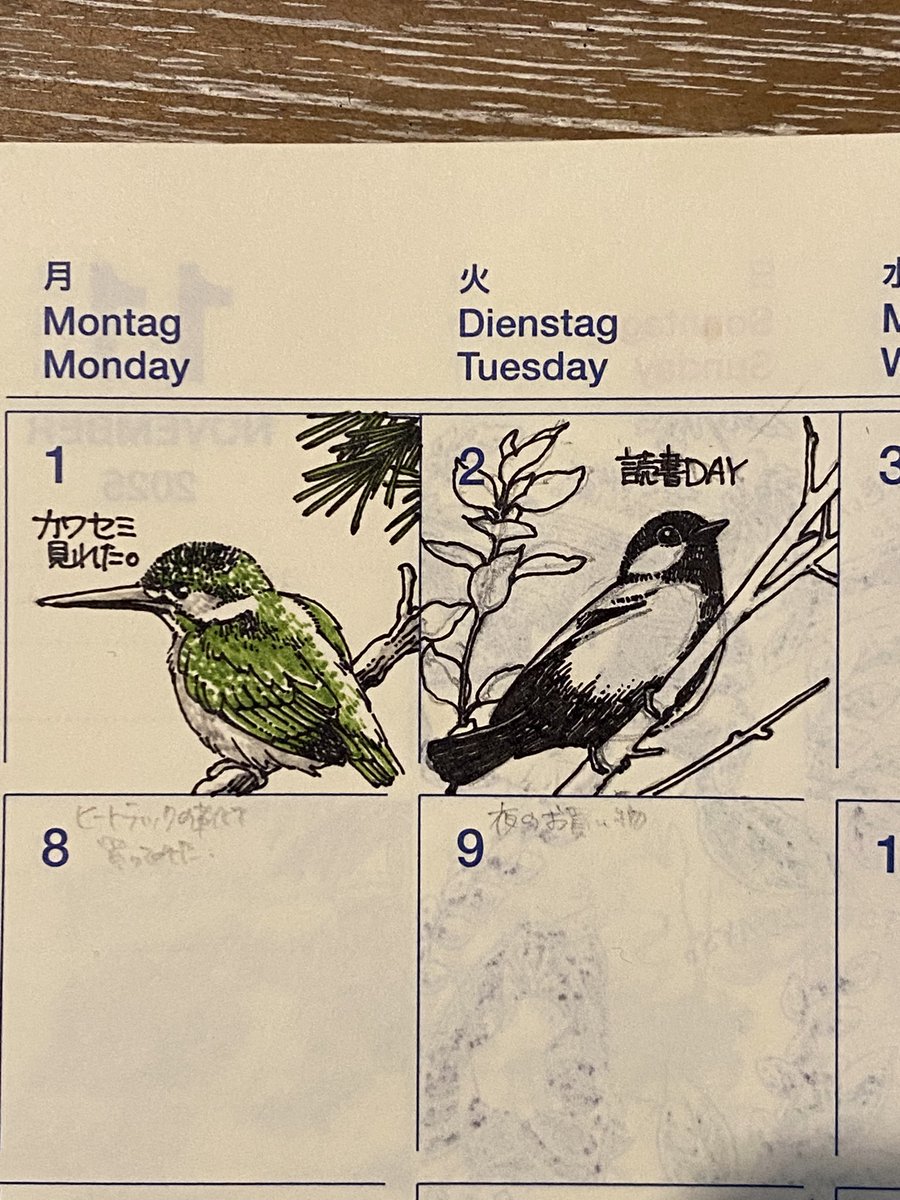 本読みたい期がやってきまして、今はこれ!と鈴木俊貴先生の『僕には鳥の言葉がわかる』を読んだのでシジュウカラ。面白いし文章も読みやすくて、一日で読んでしまった。 