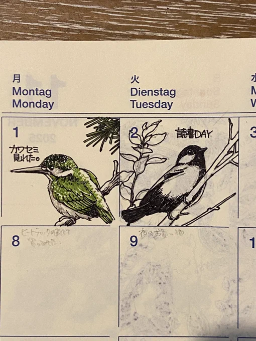 本読みたい期がやってきまして、今はこれ!と鈴木俊貴先生の『僕には鳥の言葉がわかる』を読んだのでシジュウカラ。面白いし文章も読みやすくて、一日で読んでしまった。 
