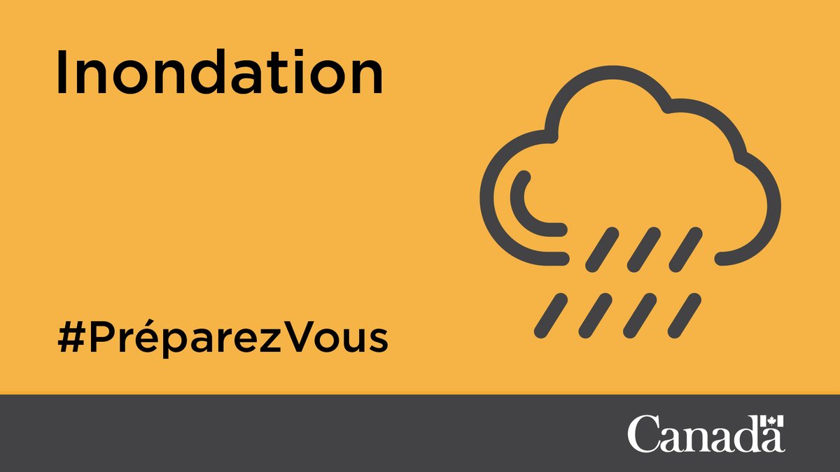 Securite_Canada's tweet image. En cas d’#Évacuation, n’oubliez pas les éléments suivants : 
- Trousse d’urgence 
- Plan d’urgence 
- Médicaments essentiels et copies d’ordonnances
- Téléphone, chargeur et batterie
- Animaux de compagnie canada.ca/fr/services/po… #InondationsCB #TempêteCB