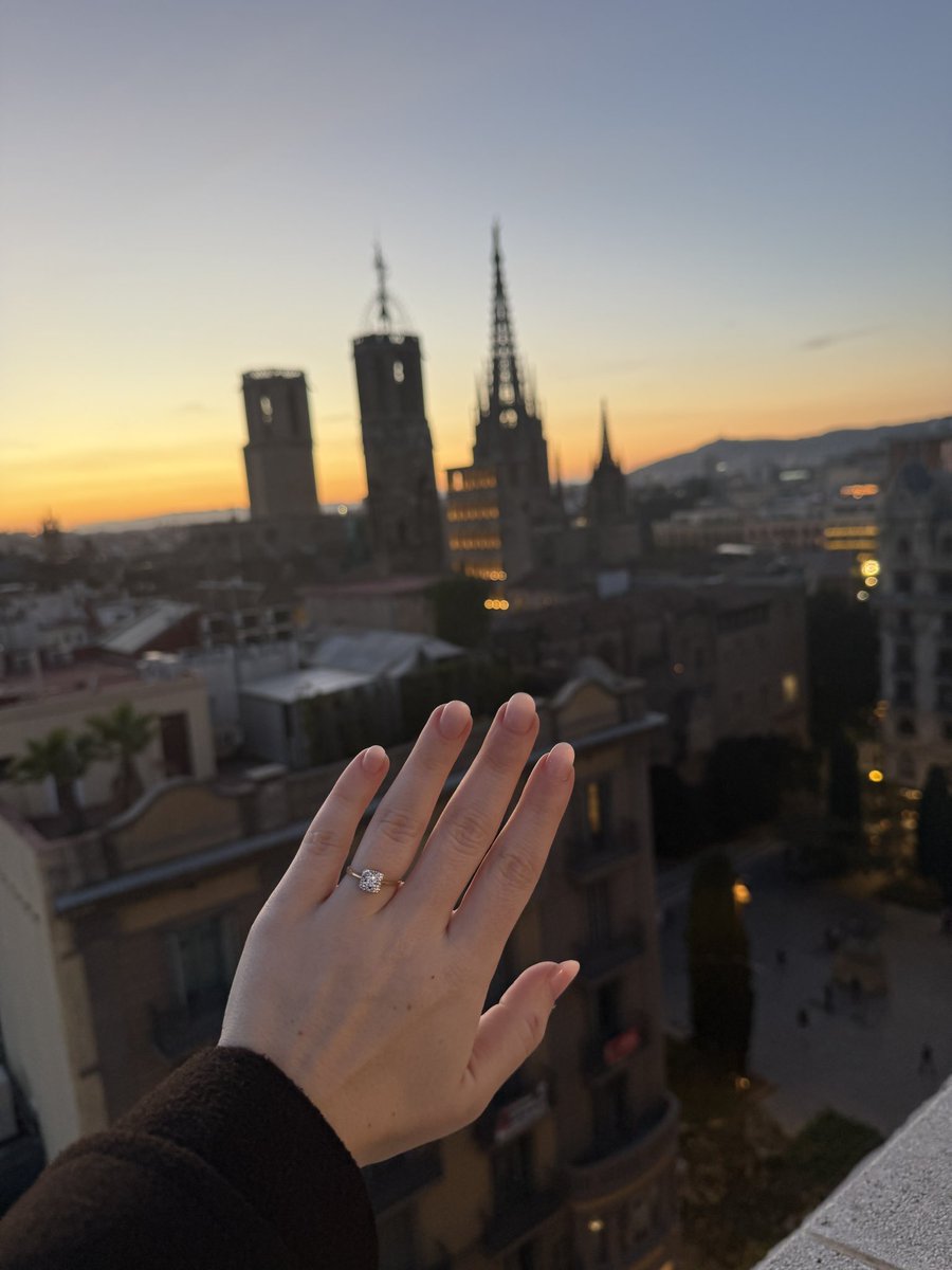 Tom Cameron tweet media