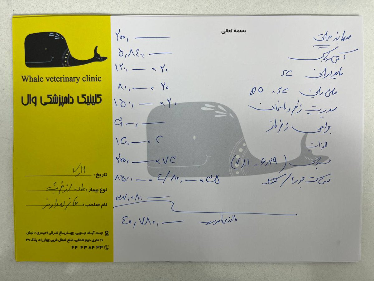 جای خواب ایو tweet media