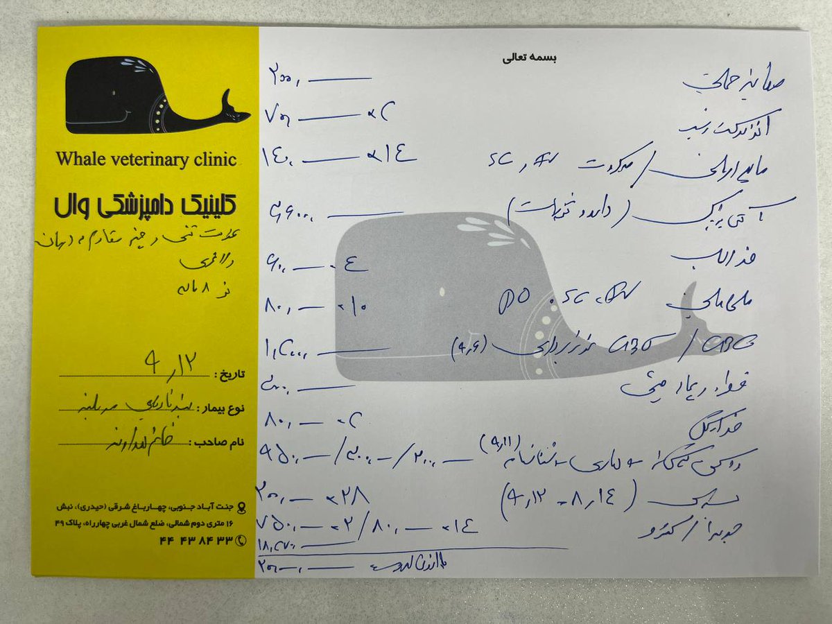 جای خواب ایو tweet media
