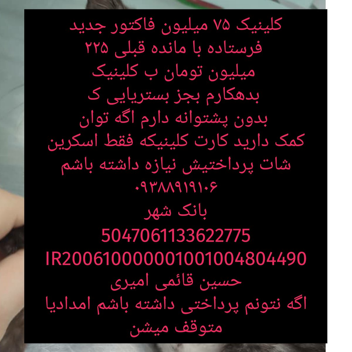 جای خواب ایو tweet media