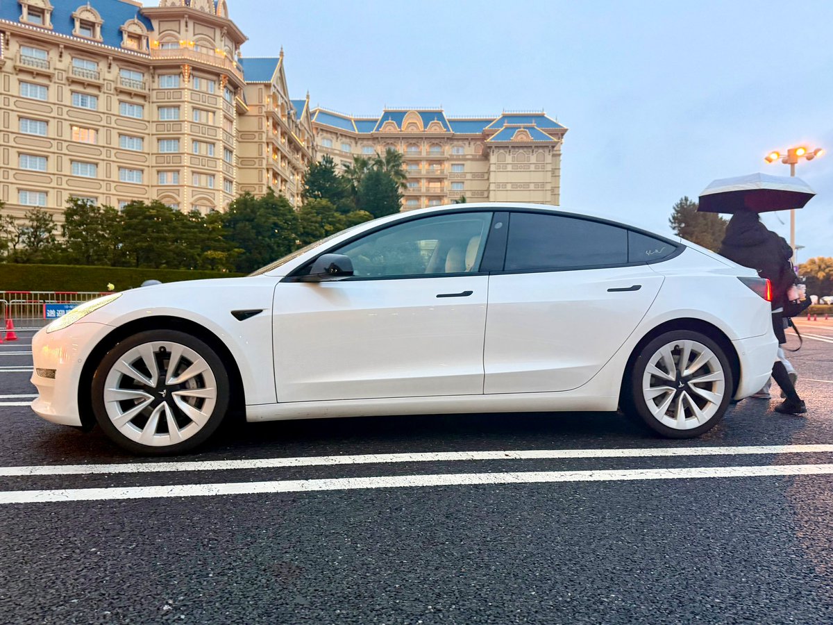 まぁくん™ (@MODEL3PLAID) / Posts / X