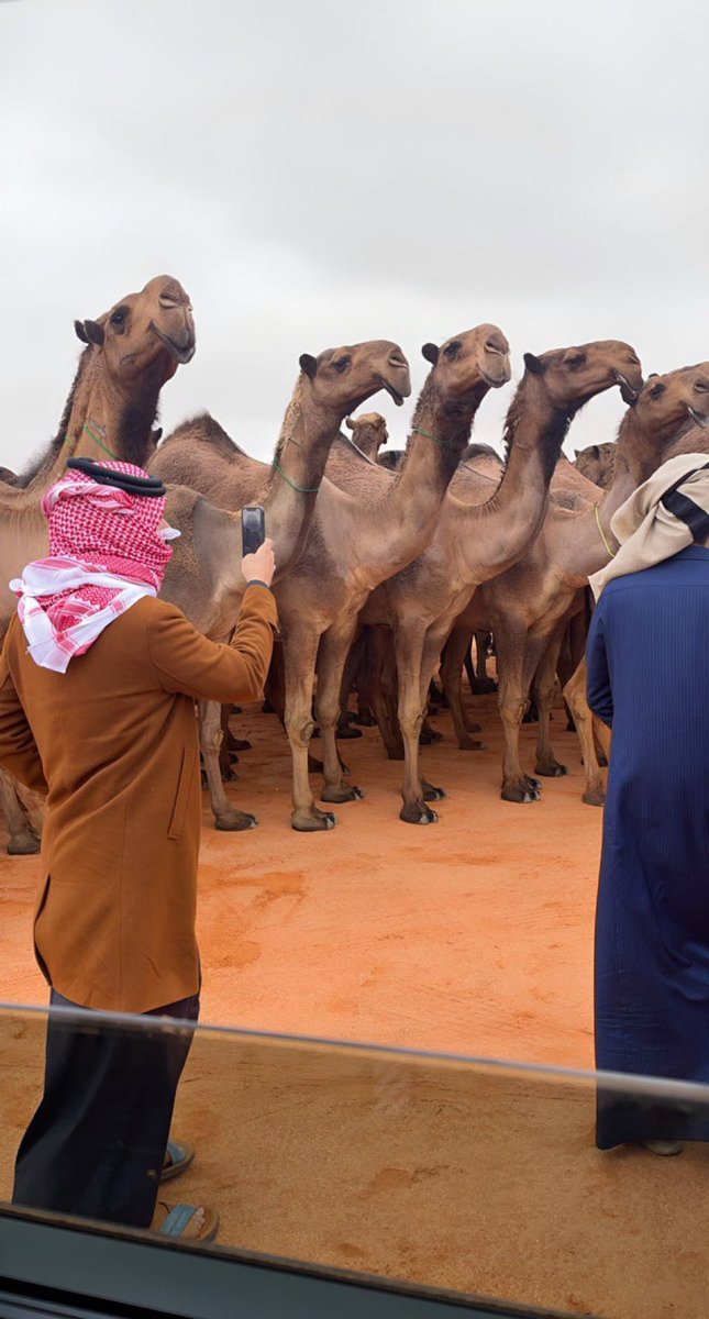 Khalidalharbi56's tweet photo. مضت 24 ساعه على التصريح الأشهر ( أنا قلت خلوكم عاقلين واللا ماقلته) ومازالو عاقلين.

في علم النفس يحتاج الإنسان ل24 ساعه حتى يستوعب الصدمة ويتأقلم مع الوضع الجديد.

إضاءه/
بتشوفونه بعد اغلاق البوابه في شوط ال80 https://t.co/Fn7zIyLWqC