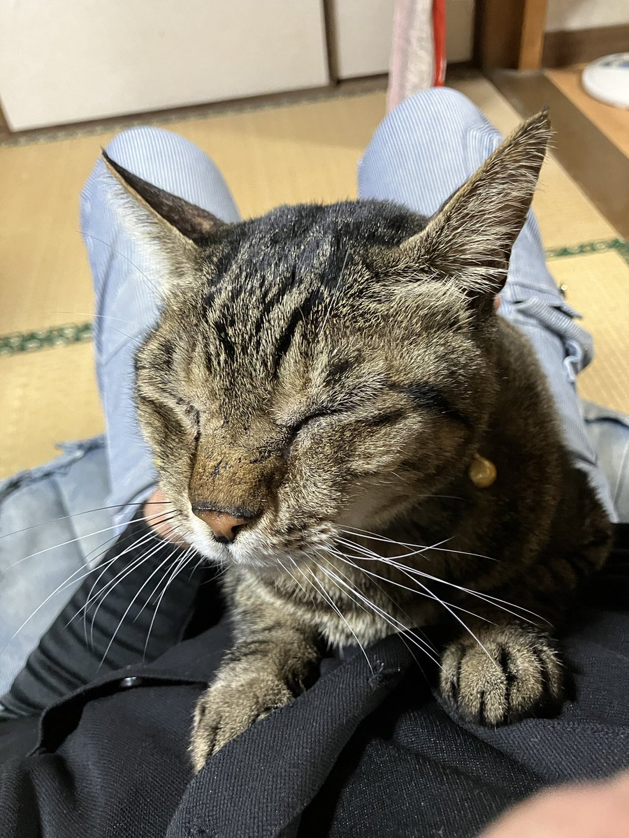 ⭐︎ヤマ⭐︎ ヤマYama (@kazuki7344) / Posts / X