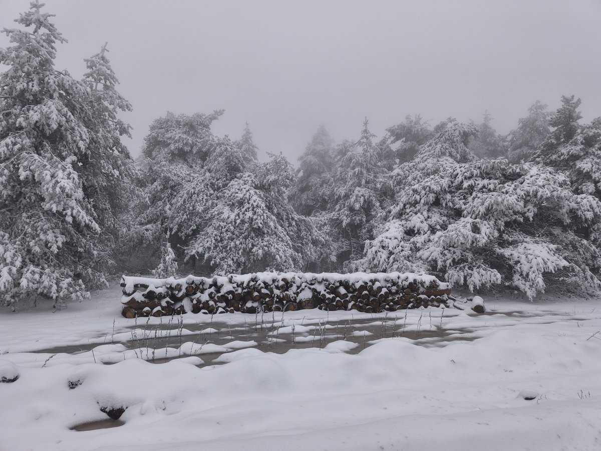 Ve bu yılın ilk kar yağışını görenlerdenim
❄⛄❄
#Çankırı  #PazarDeğisikliği 
#pazar