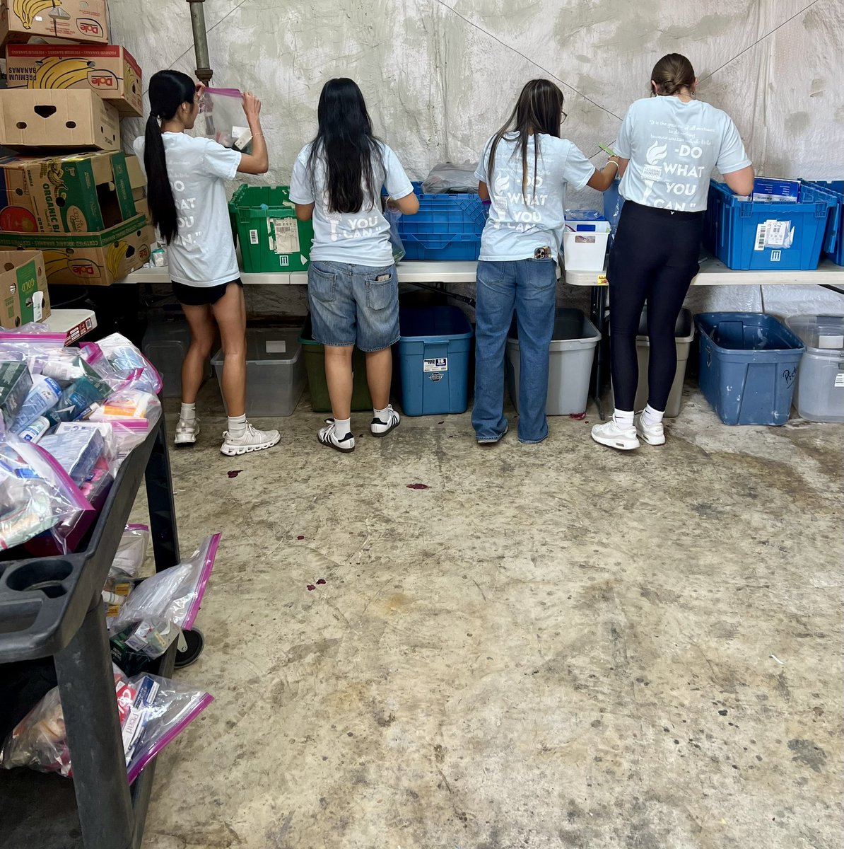 Katie Dalglish tweet media