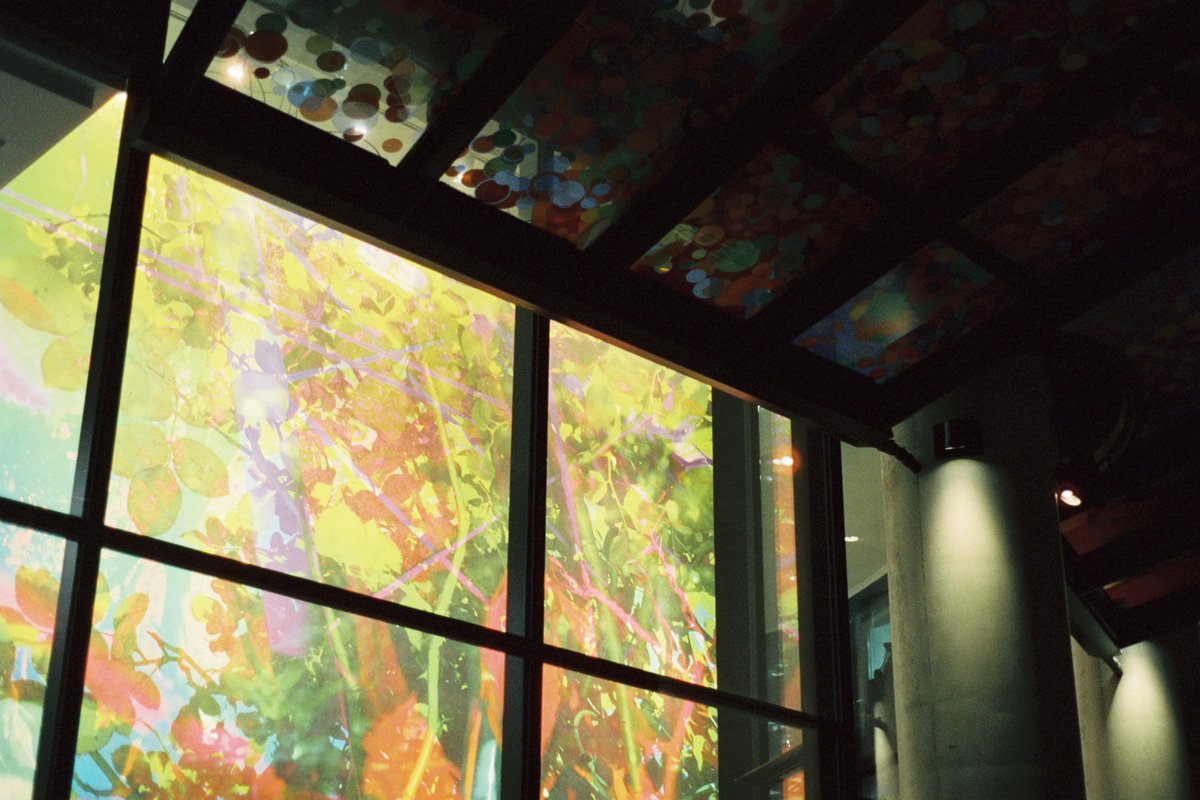 executeble's tweet image. 