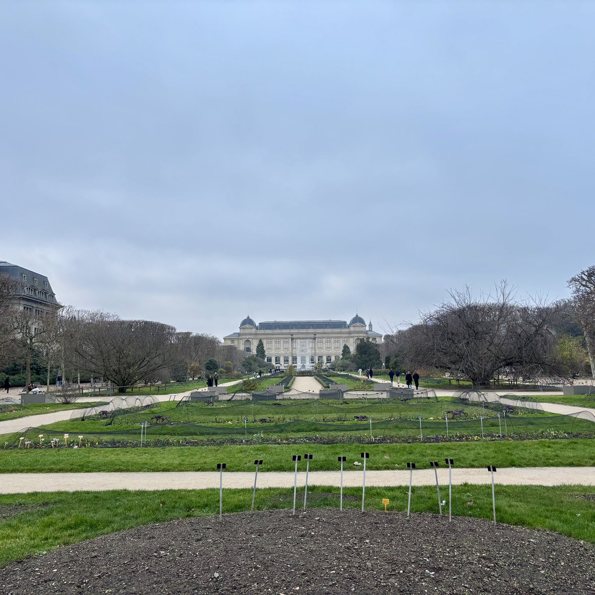 yllwbss's tweet photo. “Joyaux Dynastiques 🌟👑☁️😊” Saturday #yellowboss stroll. #chilly #grey #winter #afternoon #onrails #powerslide #activetilt #etchasketch #jardindesplantes #jardintinorossi #cathédralenotredame #îlestlouis #paris #france 🇫🇷 #eu 🇪🇺 https://t.co/lJVORFNZxx