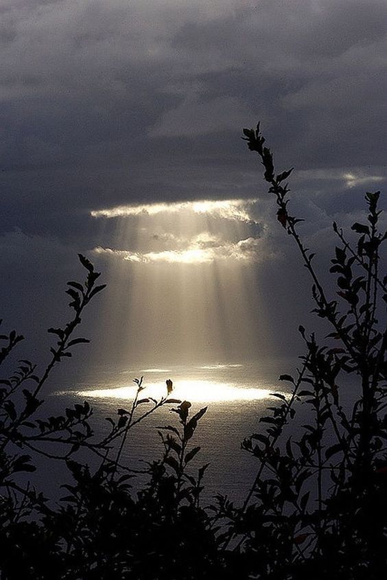 La sua carta di identità sono i fatti: questi parlano al Battista dell’avvento del Cristo! Dubbi e prove preparano all’incontro con il Veniente: la sua presenza ci farà fare salti di gioia #vangelodioggi