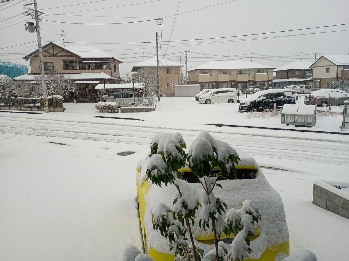 おはようございます。 雪〜❄⛄️❄