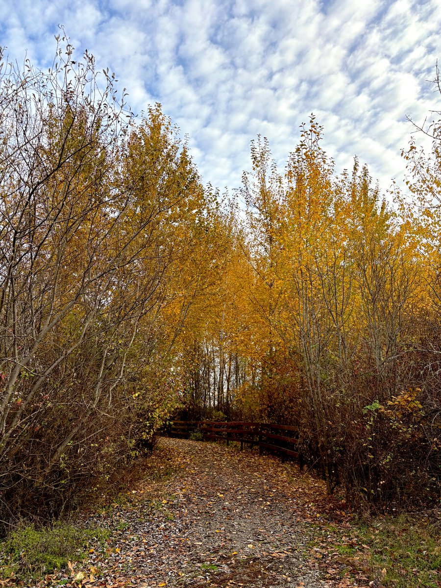 🍂 trying to freeze time