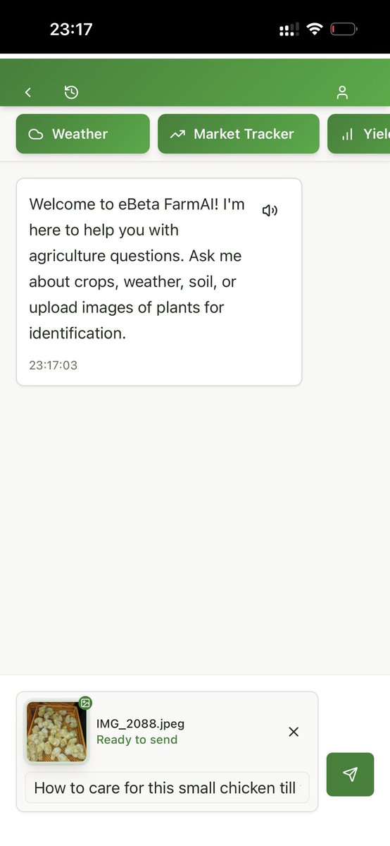 EbetaFarmai's tweet photo. If you are new to chicken farming, be smart and get knowledge. App like eBeta FarmAl can help you. See pictures how to start with guidance. Drop a comment if you are new to chicken farming for more tips and hints. #ebetafarmai #poultry #innovation #nigeria https://t.co/LqheXdBUX9