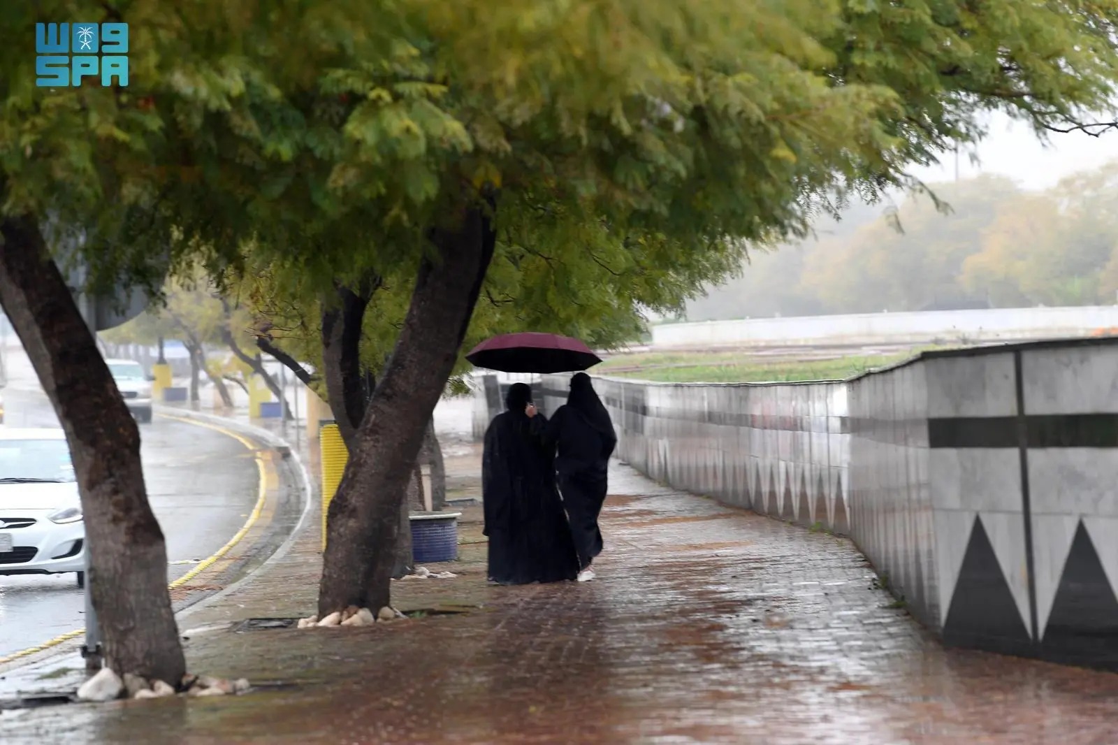 تواصل الحالة المطرية على معظم المناطق #طقس_السعودية 