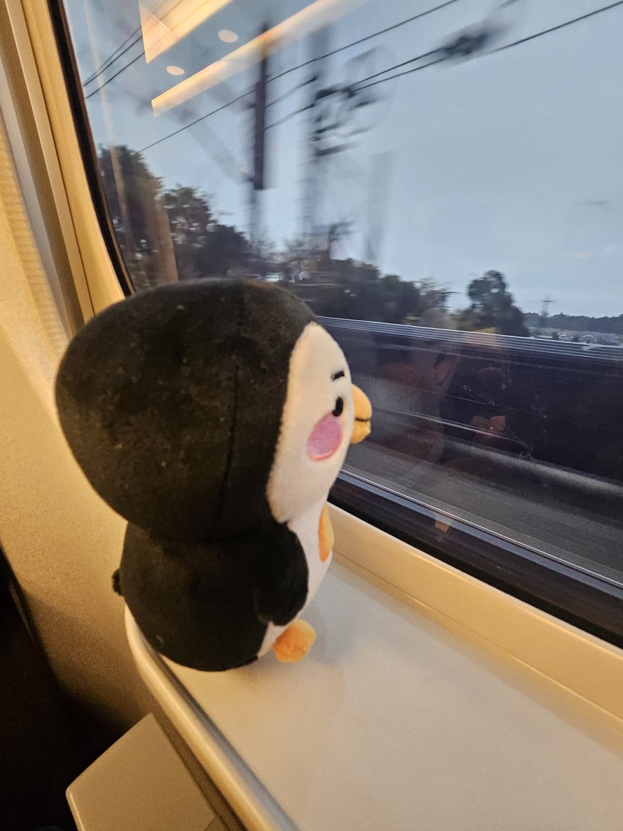 東京向かってます🚄✨
ついに今日ジュノに会える💛
楽しみ🥰