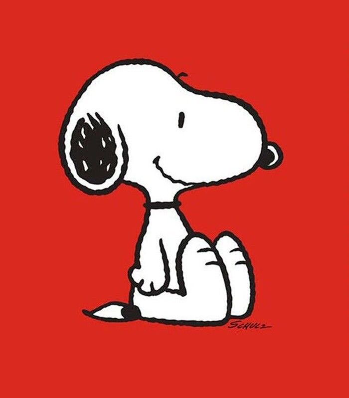 dailyqb55's tweet photo. snoopy night!! https://t.co/DqEWhRUIJV