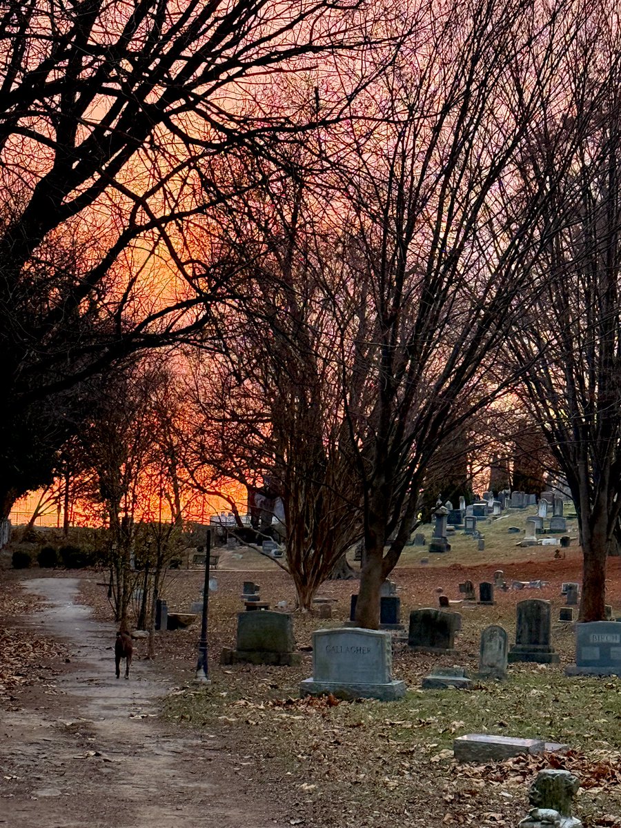 Pretty sunset in Hill East. Congressional Cemetery. <a href="/capitalweather/">Capital Weather Gang</a>