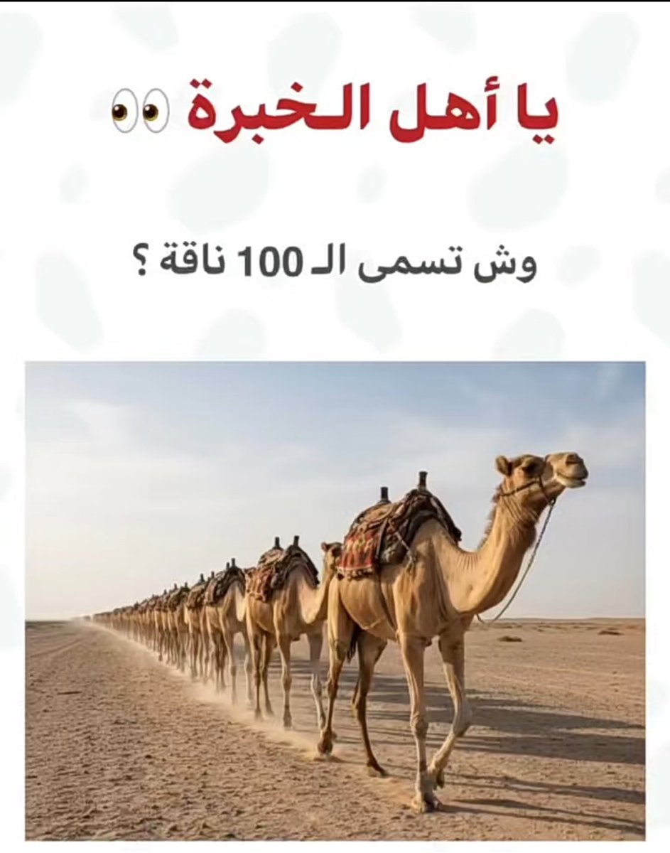 👑 الفيصل 💚 tweet media