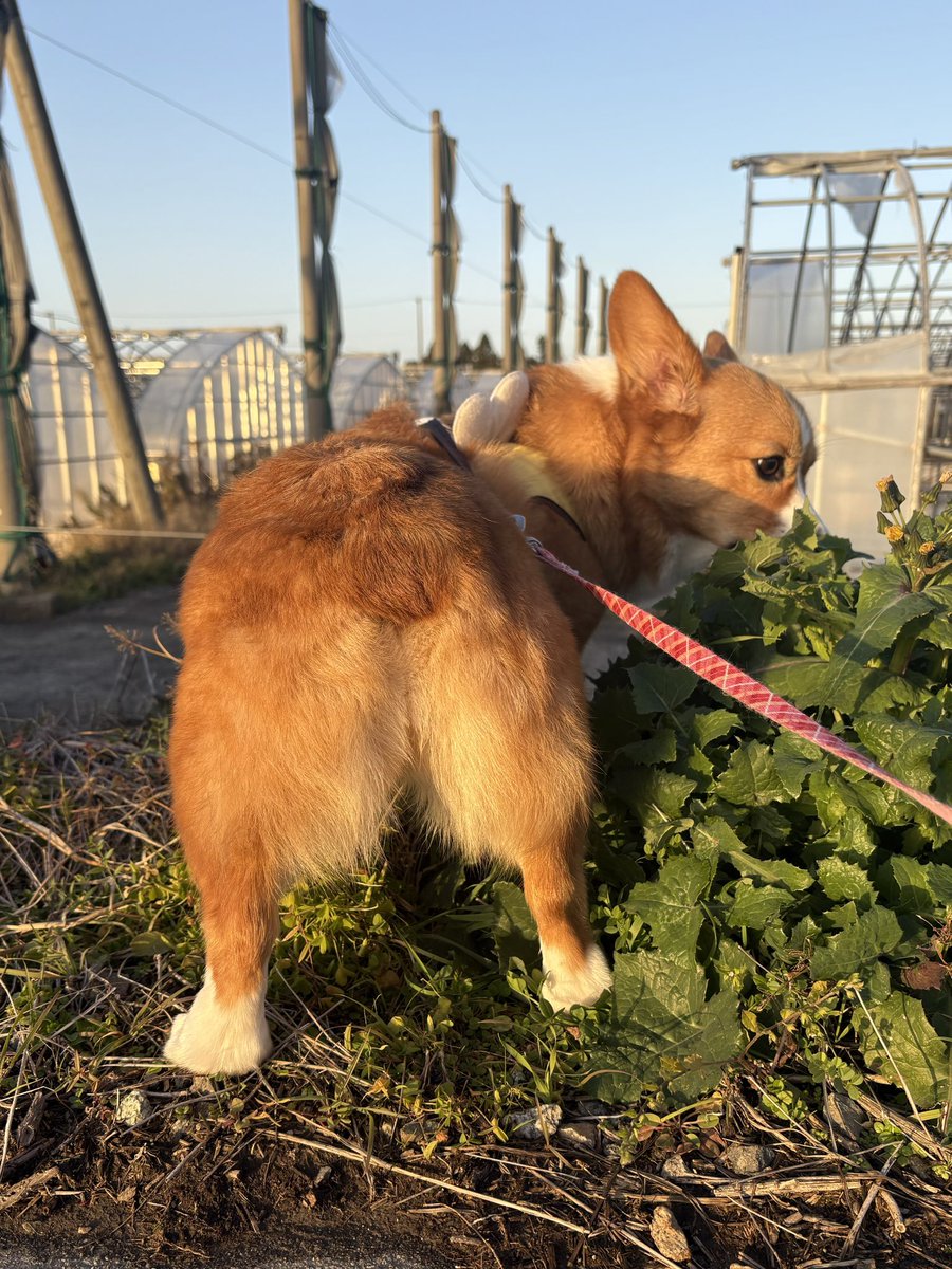 ｸﾝｸﾝｸﾝｸﾝｸﾝｸﾝ…🌱