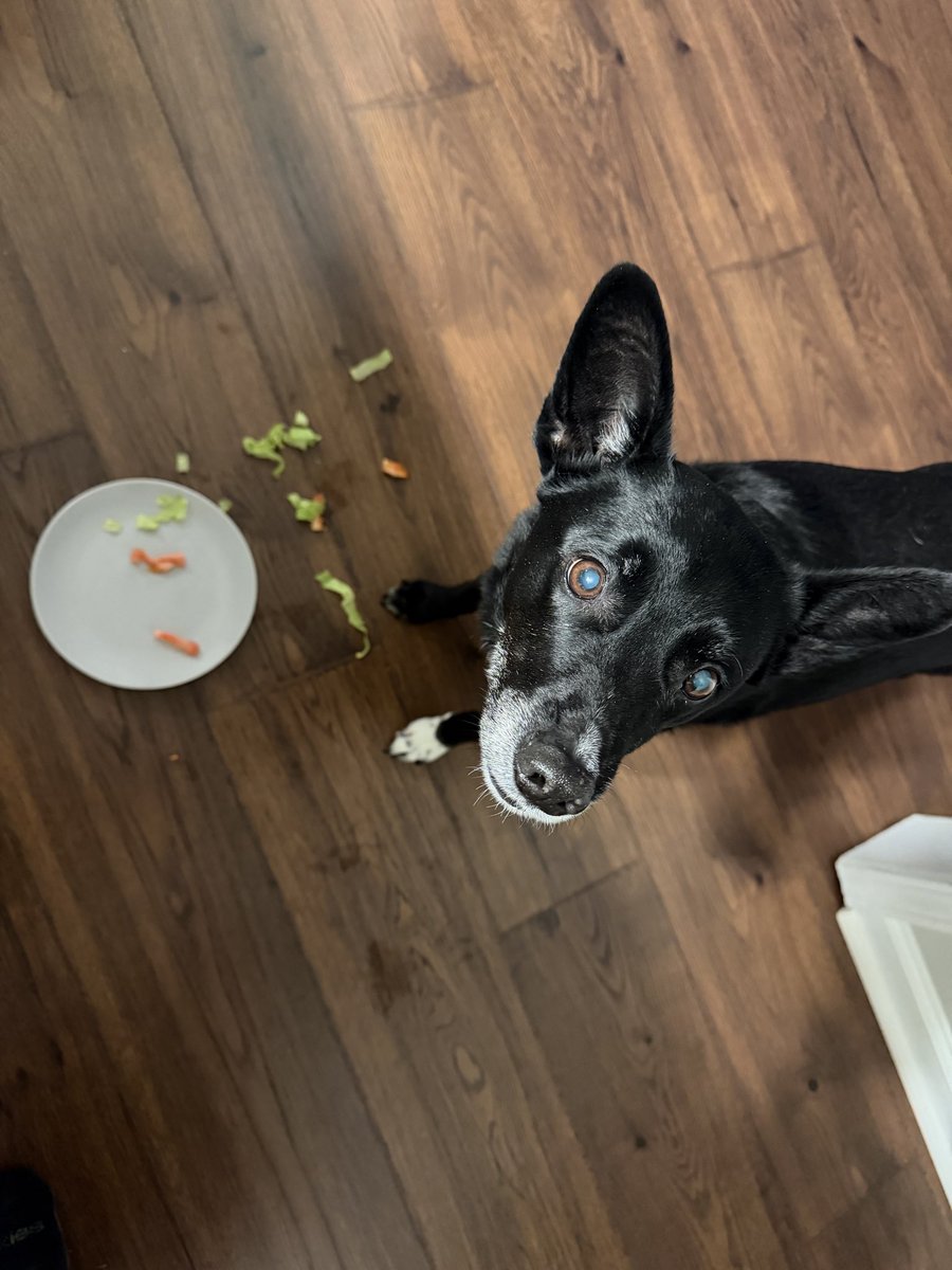 Make tacos night on the Chris &amp; Ellie Show. That is all…