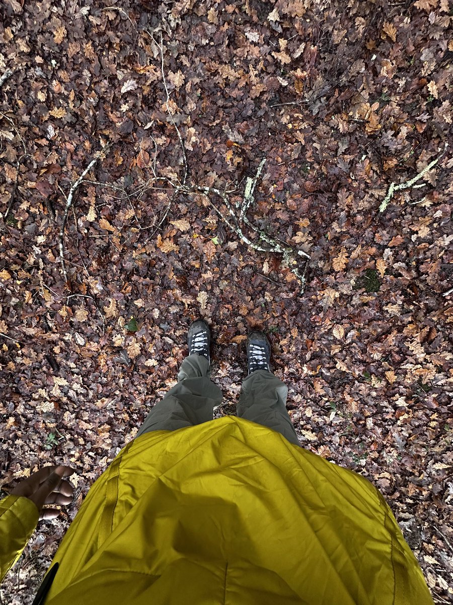 SamFloating's tweet image. New Forest, Hampshire 📍 
Last hike of 2025. Thousands of people have come hiking with us this year.
The things I thank God for.
Explorers Club to the world.