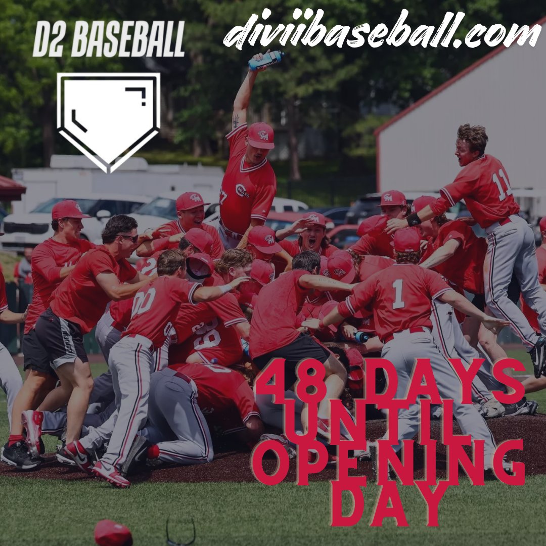 D2 Baseball tweet media