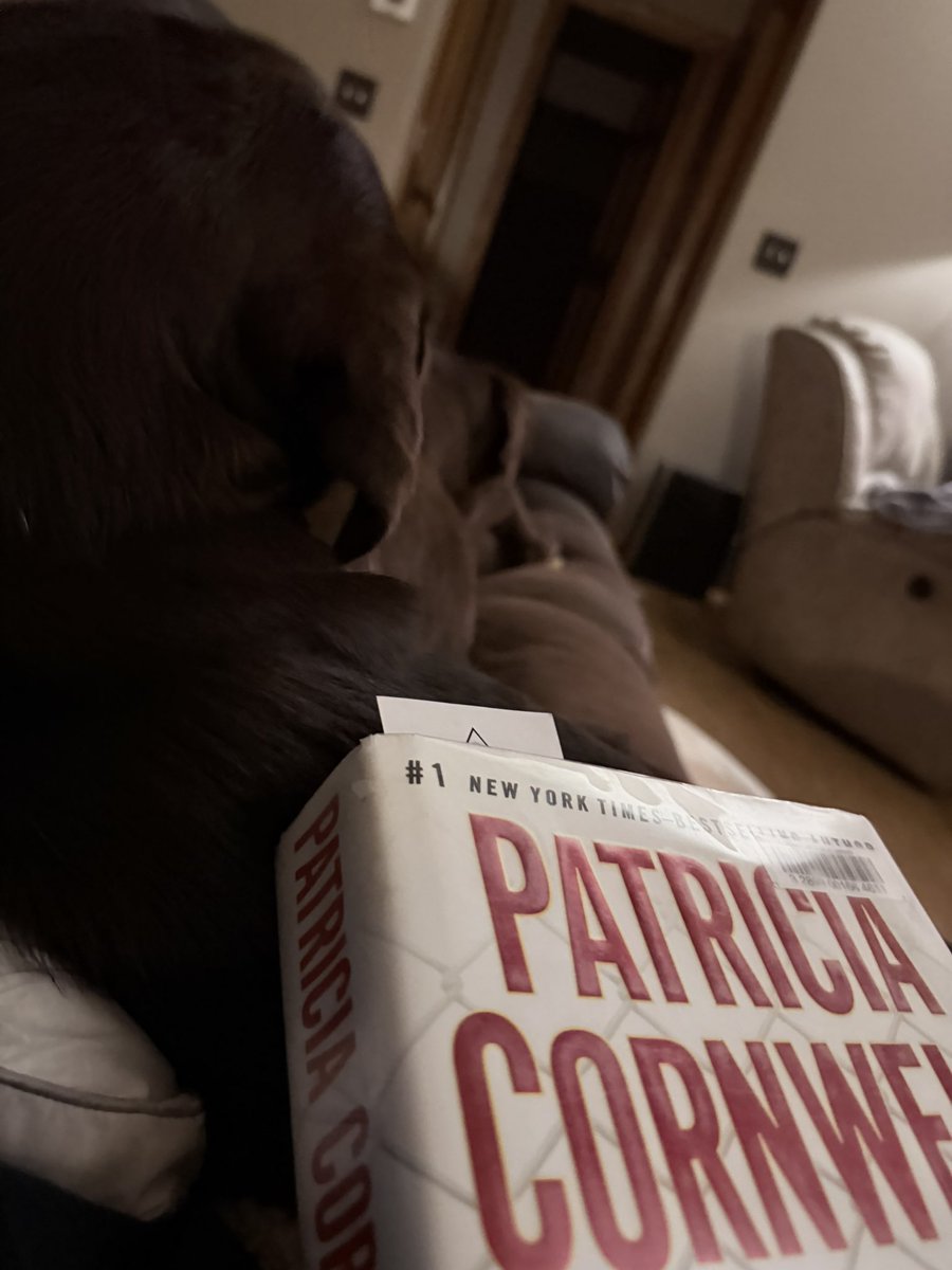 usd_rn's tweet photo. Puppy snuggles. @1pcornwell  what a treat https://t.co/bBvEr5nA9g