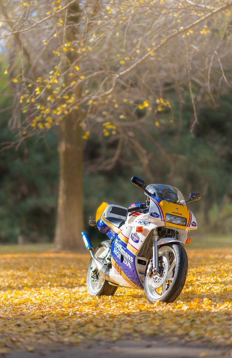 じゃが (@nikujaga20000) / Posts / X