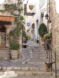 BornRentals's tweet image. おはようございます☕ ちょっとだるい日けどコーヒー淹れよ！ 🚶 🤰