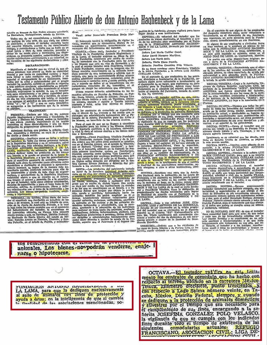 Ref_Franciscano's tweet photo. La Fundación Hagenbeck traicionó el legado de Don Antonio Hagenbeck al vender el predio, violando su testamento.
Su interés es inmobiliario, no el bienestar animal. Si traicionaron a su fundador, ¿por qué creerles?
¡Que regresen la custodia al Refugio Franciscano ya! https://t.co/NiWOsiy6Q9