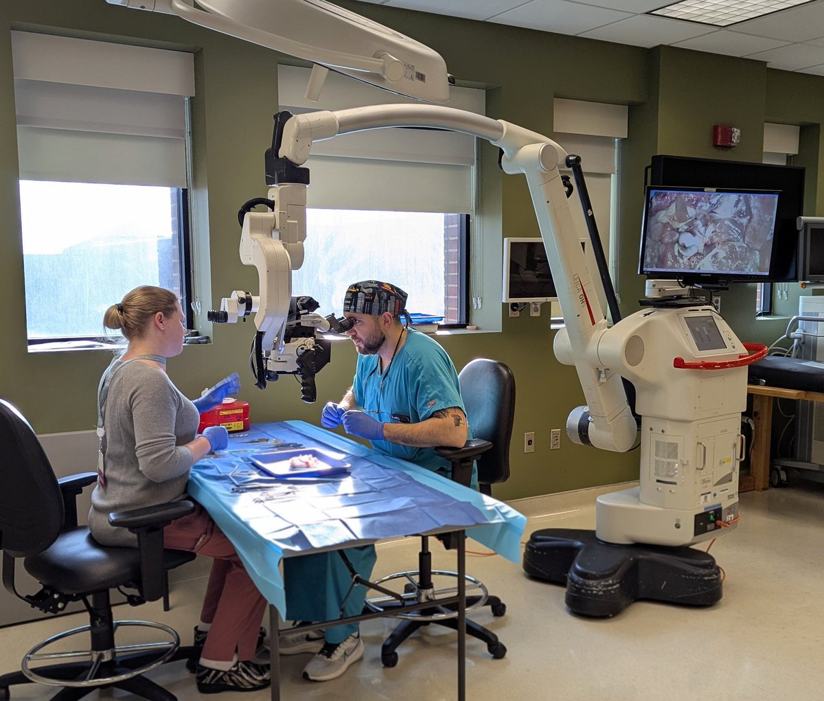 Crystal Lincoln tweet media