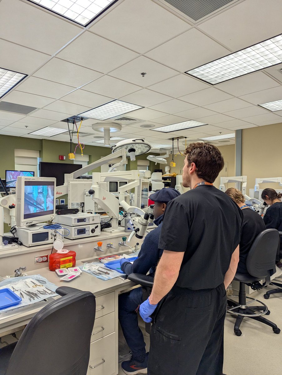 Crystal Lincoln tweet media