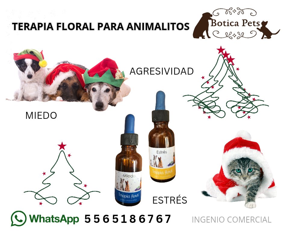 BoticaPets's tweet image. ¿Que esperas?