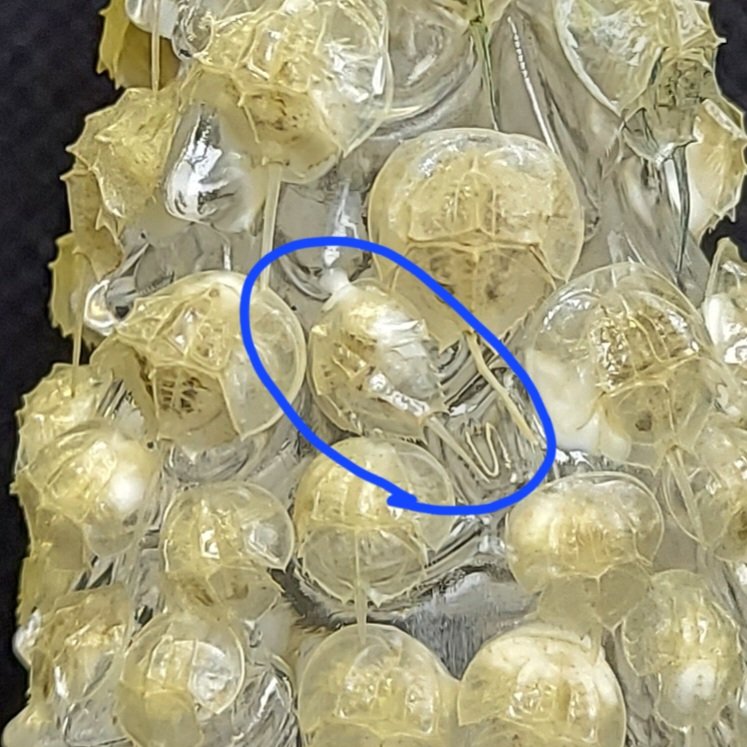 全部同じじゃないですか