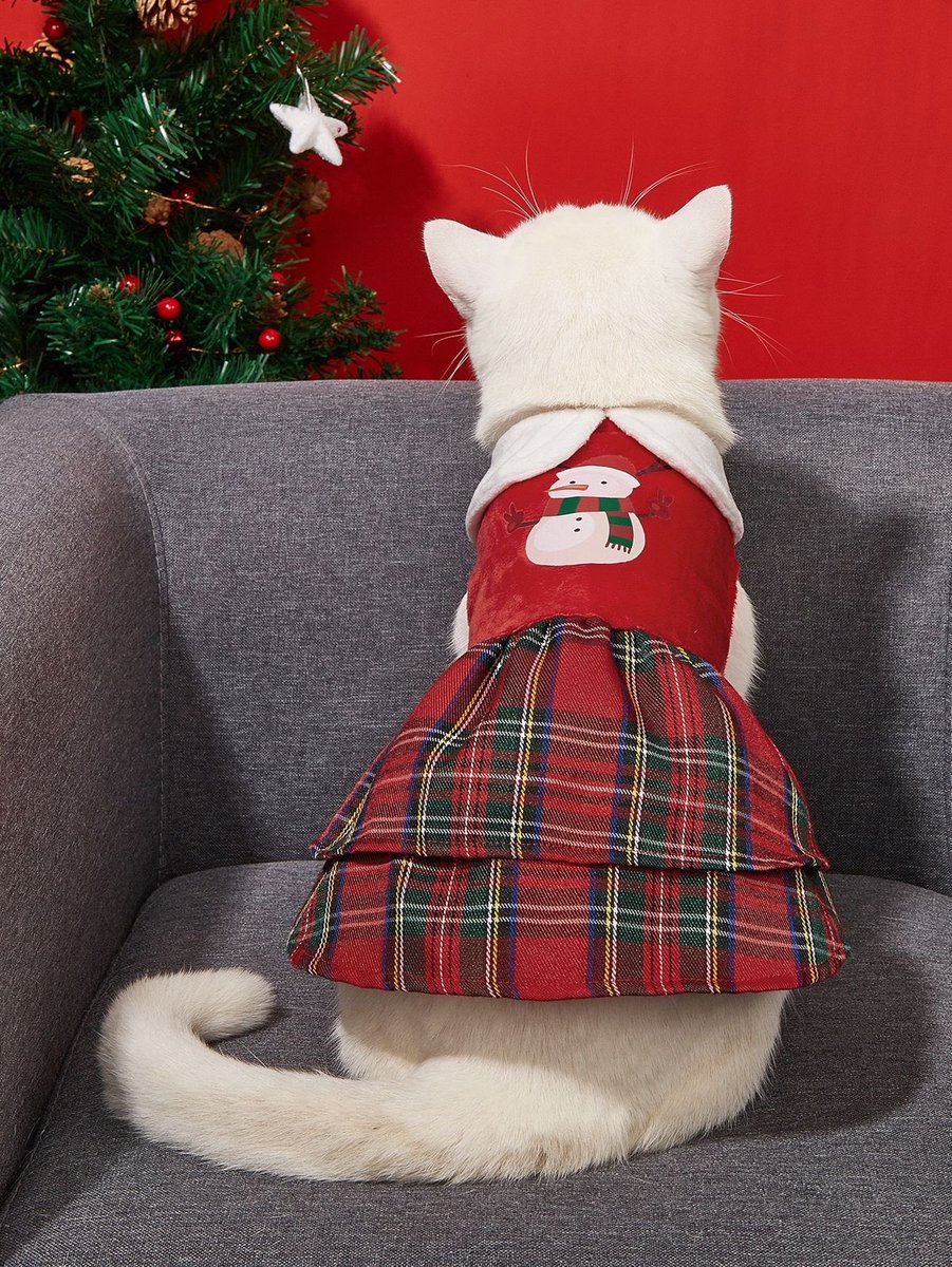 ⠀ 
She took her phone out, pulling up a photo of a cat wearing a dress.

Look. A Christmas one, you can find a ton of these online. You can also find some in the stores around here somewhere.
⠀