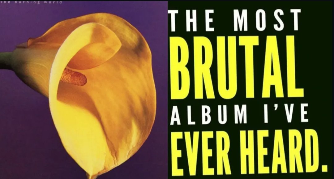 ttraumer0's tweet image. 