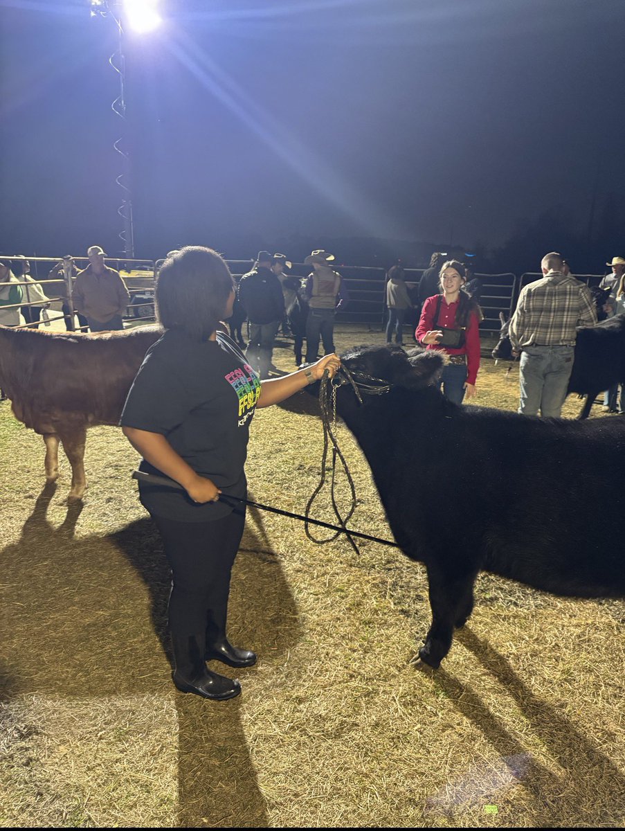 Ashley Sterns, M.Ed tweet media