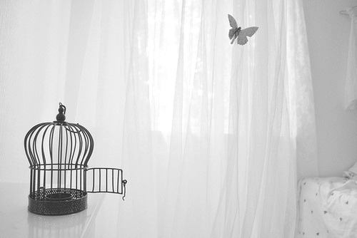 ️️️ ️️️️️ ️ ️️️️️️ ️️️️️ (@quietitud) on Twitter photo 