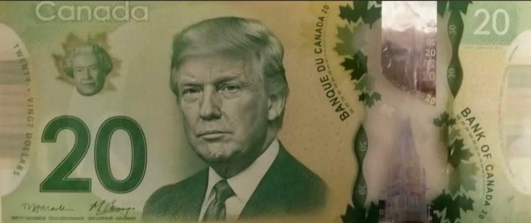 I'm sure they would like the USD better than this 😂 #canada #51st