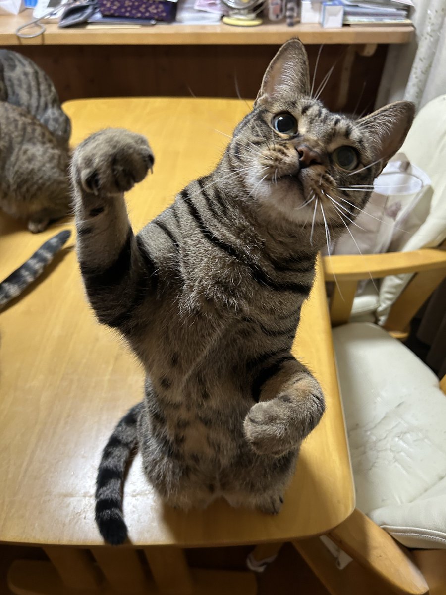 はると (@tomeji1106) / Posts / X はると (@tomeji1106) / Posts / X