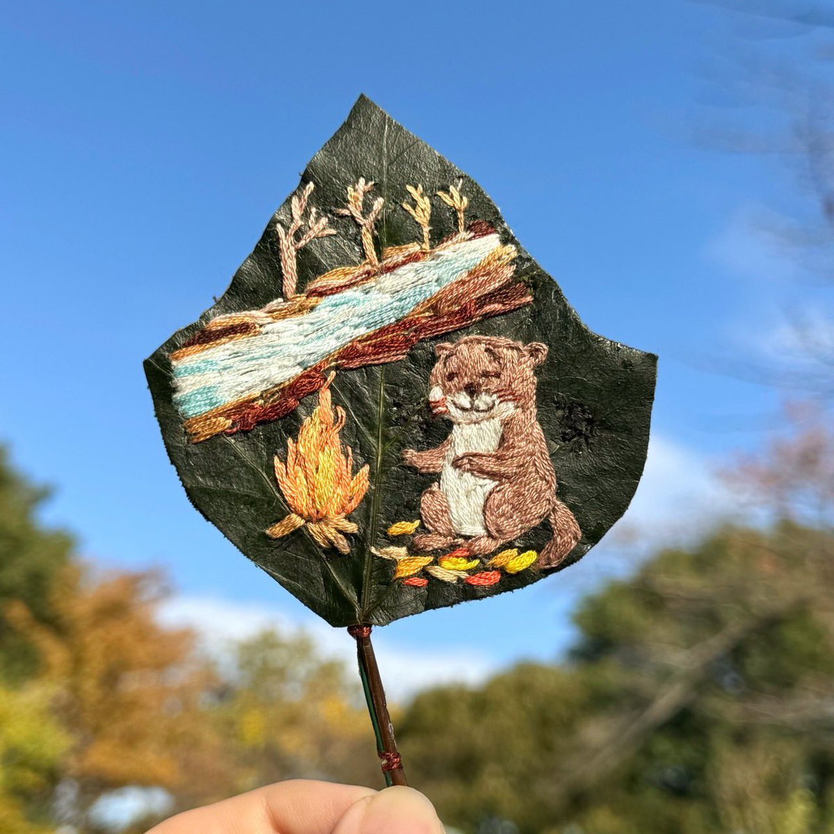 みったん (@mittan0809) / Posts / X