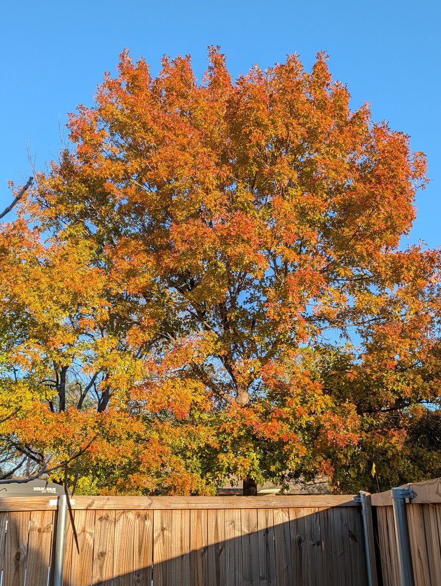 expomich tweet media