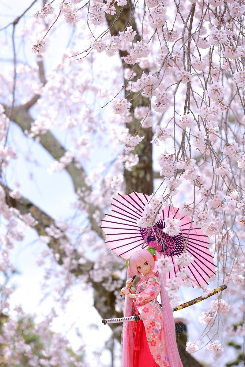 汞 (@mizukane0404) / Posts / X